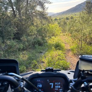 Quad bike parked on a forest trail during a guided tour on Korčula